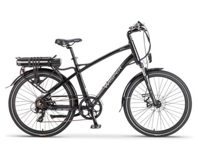 low cost ebike
